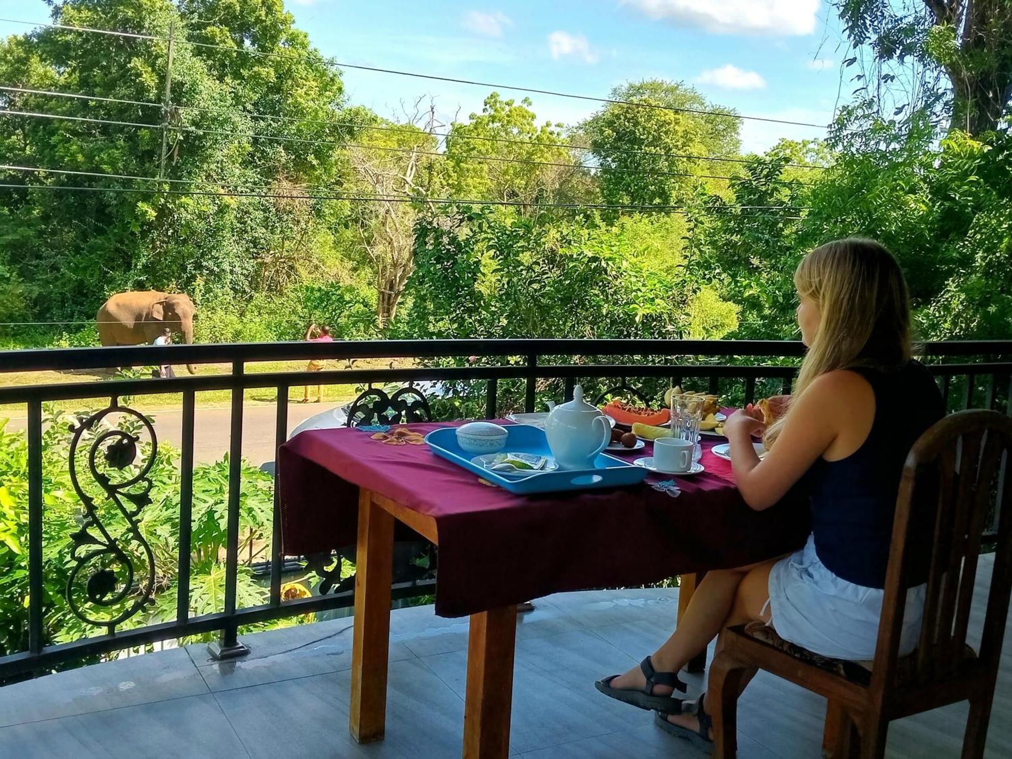 Peacock Villa Resort Udawalawe Dış mekan fotoğraf