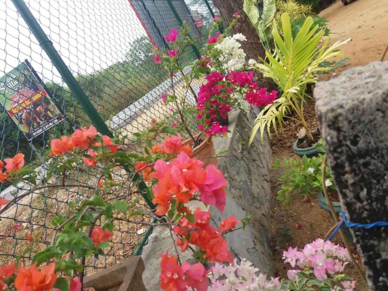 Peacock Villa Resort Udawalawe Dış mekan fotoğraf